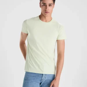 T-shirt Personalizada Breda Roly